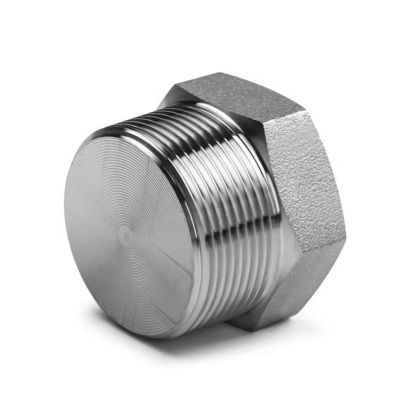 Plaquette hexagonale en argent forgé à haute pression NPT pour acier inoxydable 304 316 316L