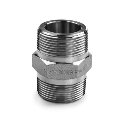 SS304 316 316L Tête hexagonale forgée à haute pression 300 bar fils mâles égaux/tête réductrice