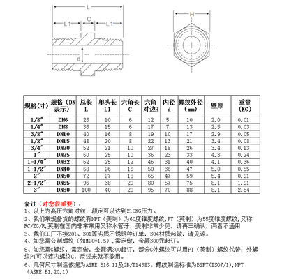 SS304 316 316L Tête hexagonale forgée à haute pression 300 bar fils mâles égaux/tête réductrice