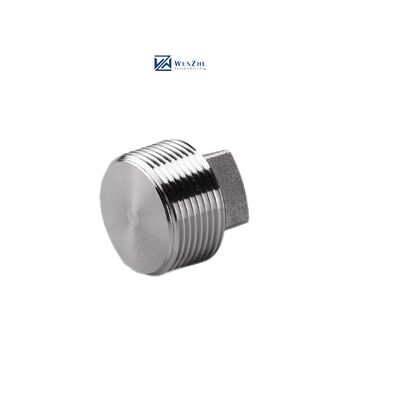 Acier inoxydable enduit d'argent WZ 304 316 316L