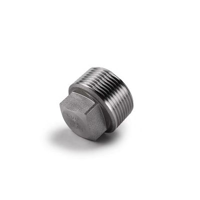 Acier inoxydable enduit d'argent WZ 304 316 316L