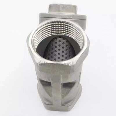 WZ SS316 304 filtrage professionnel en acier inoxydable de type Y pour le filtre à eau à conduites égales