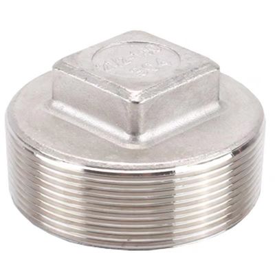 Soutien personnalisé 304 en acier inoxydable tête carrée encastrée classe 150 2' NPT mâle