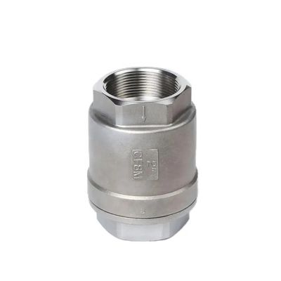 Valve de contrôle de ressort verticale H12W-16P pour le port de fil d'acier inoxydable multi-tailles personnalisé