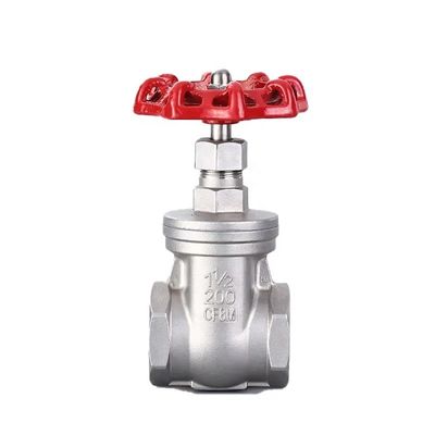 201 304 316 Valve d'entrée fermée en acier inoxydable pour tuyaux d'eau à filetage interne
