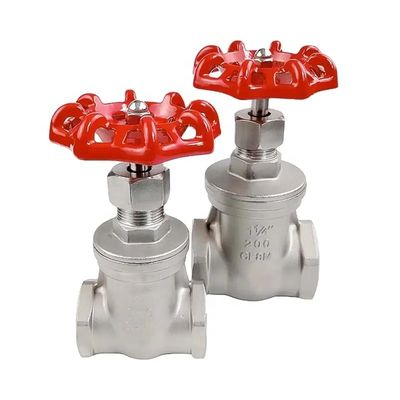 201 304 316 Valve d'entrée fermée en acier inoxydable pour tuyaux d'eau à filetage interne