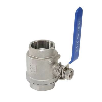 WZ en acier inoxydable SS 304 316 NPT BSP filé 2PC soupape à bille personnalisée pour la longévité