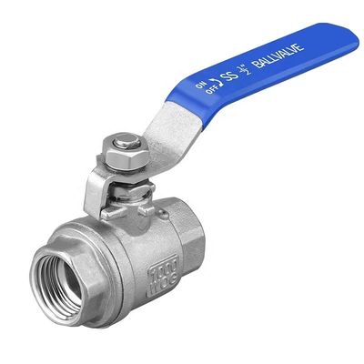 WZ en acier inoxydable SS 304 316 NPT BSP filé 2PC soupape à bille personnalisée pour la longévité