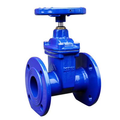 Valve de porte en acier inoxydable à coulée standard avec conception standard ANSI JIS DIN GB