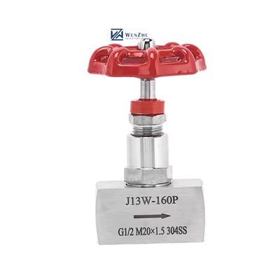 Valve à aiguille haute pression 1/2 " DN15 J13W-160P en acier inoxydable forgé 304 316 316L