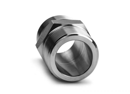 WZ en acier inoxydable haute pression hexagonale tétons BSP NPT équivalent mâle fil de tuyauterie