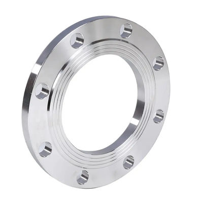 Flange en acier inoxydable de 12 pouces pour les industries pharmaceutiques