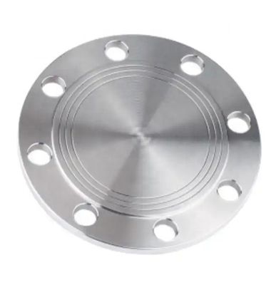 Flanche aveugle forgée sur mesure pour acier inoxydable 304 316 316L en acier au carbone