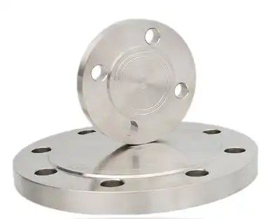 Flanche aveugle forgée sur mesure pour acier inoxydable 304 316 316L en acier au carbone