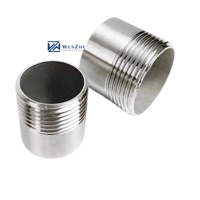 Silver WZ SS316 Baril mâle Nipple NPT BSPP BSPT G fileté 2 "